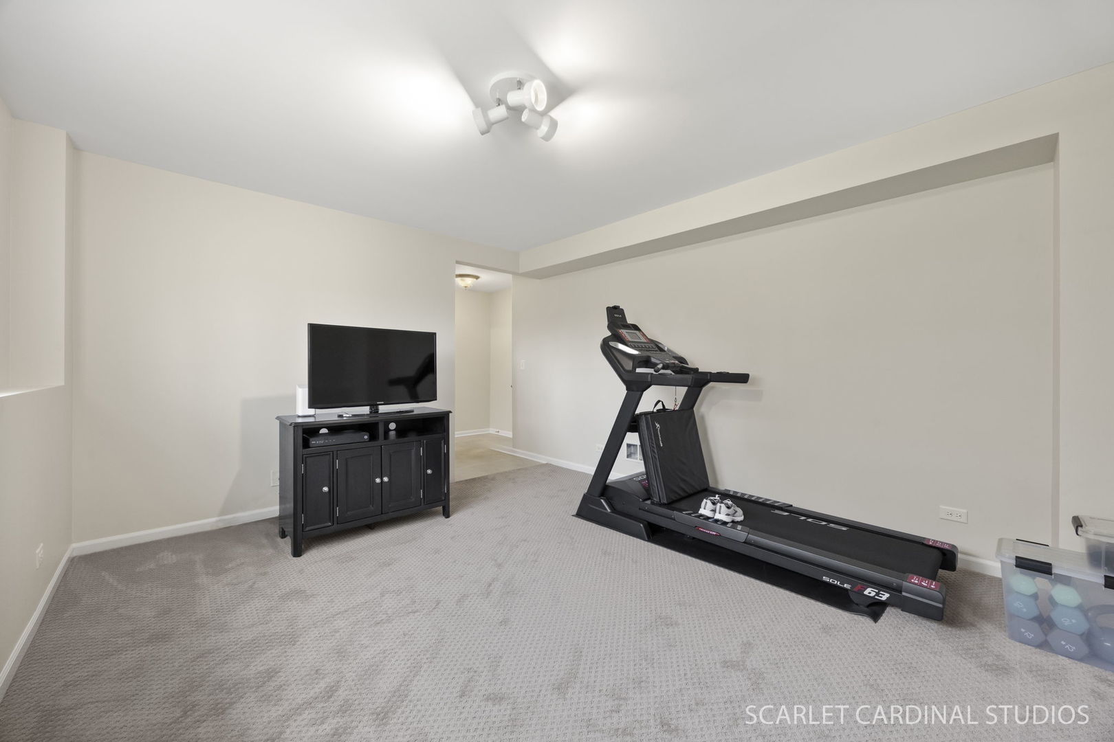 259 Bennett Drive Carol Stream IL 60188