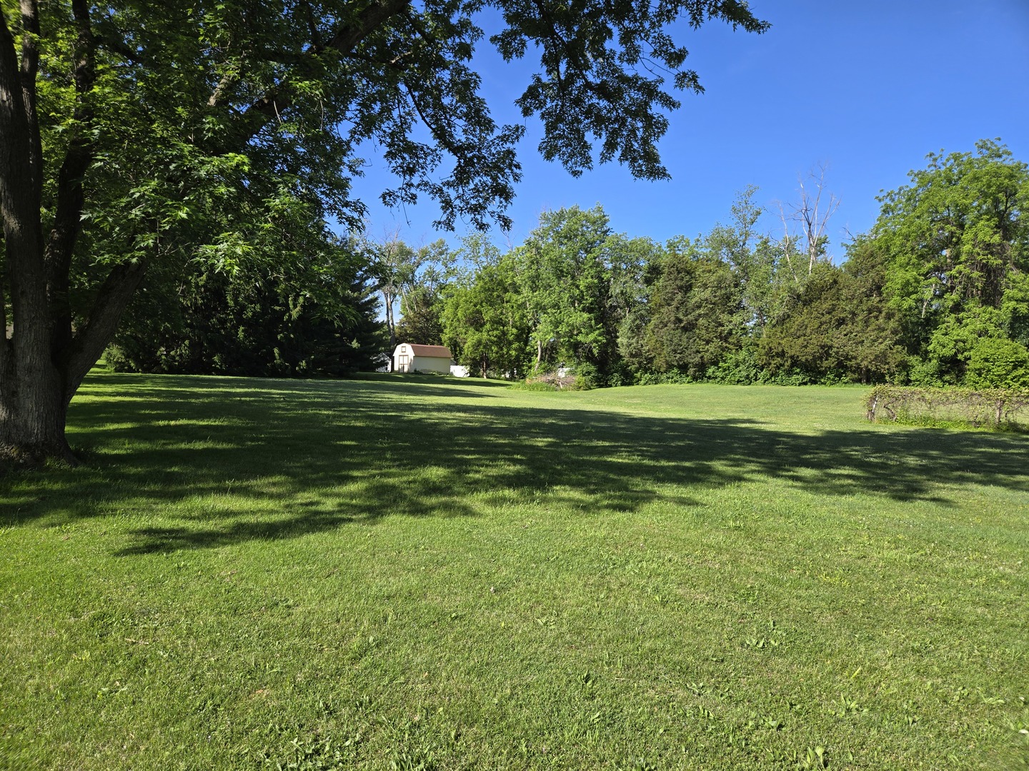 187 East Francis Road New Lenox IL 60451