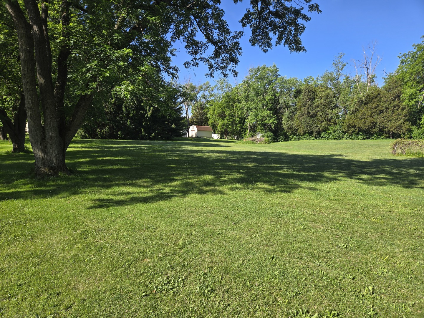 187 East Francis Road New Lenox IL 60451