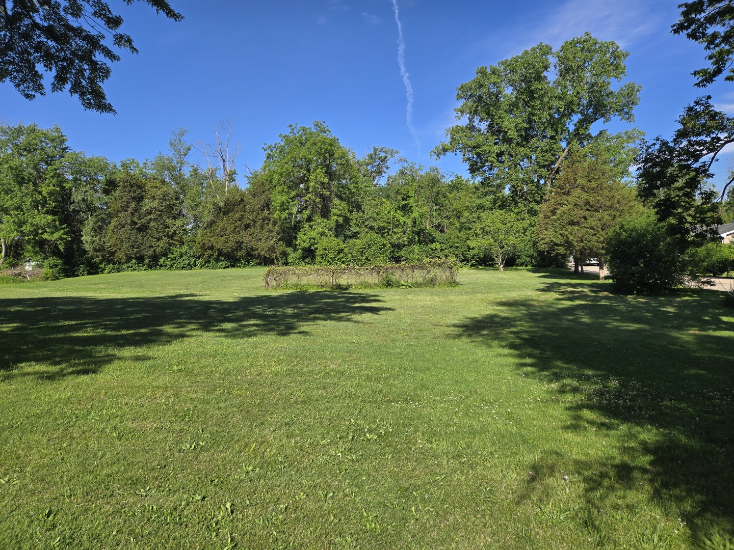 187 East Francis Road New Lenox IL 60451