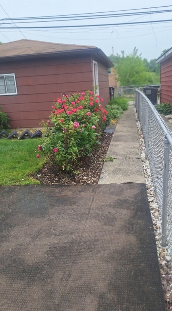 9351 South Normal Avenue Chicago IL 60620