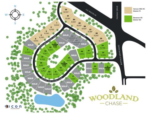 468 Woodland Chase Lane Vernon Hills IL 60061