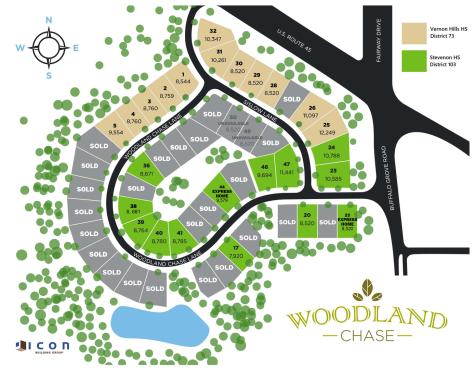 468 Woodland Chase Lane Vernon Hills IL 60061