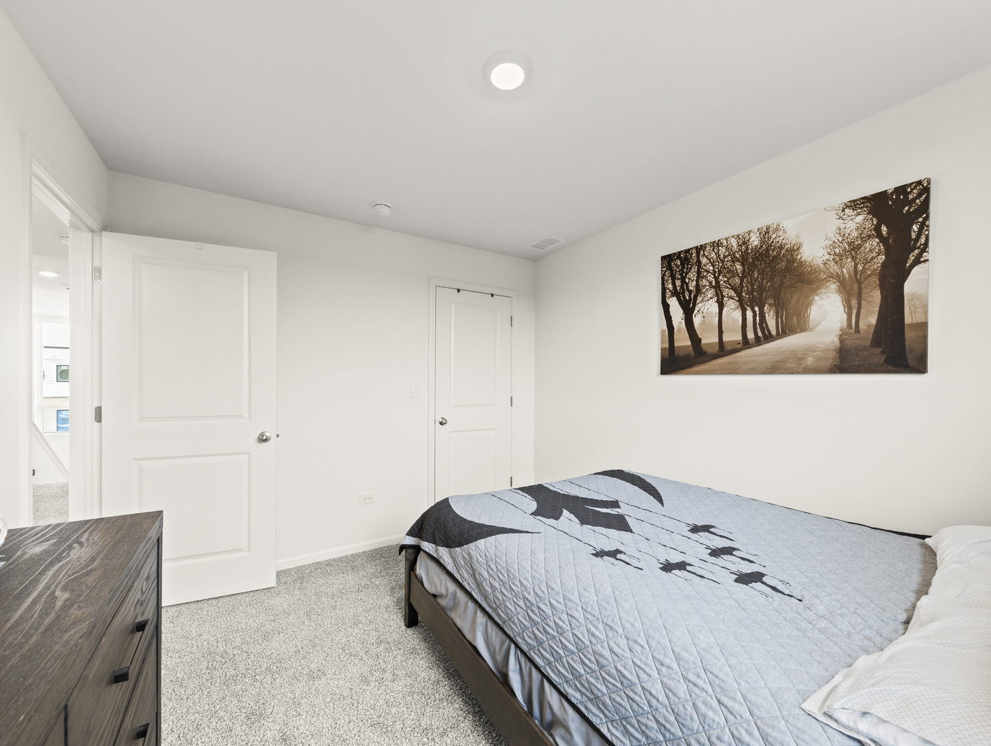 1294 Catalina Court Schaumburg IL 60173