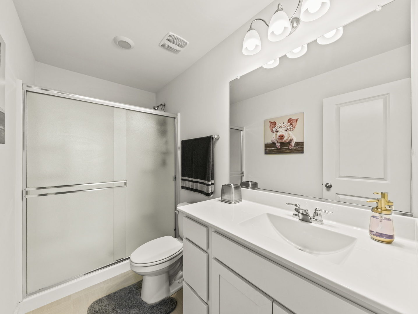 1294 Catalina Court Schaumburg IL 60173