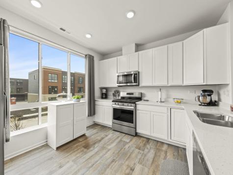 1294 Catalina Court Schaumburg IL 60173