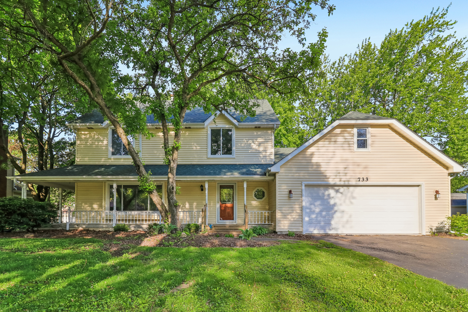 733 Buttonwood Circle SE Naperville IL 60540