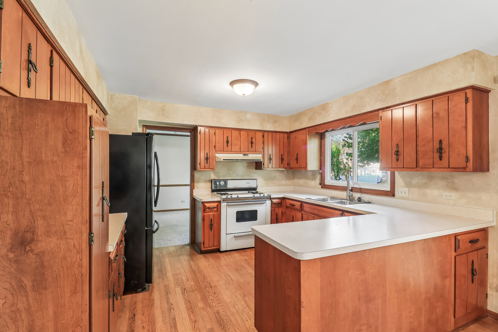733 Buttonwood Circle SE Naperville IL 60540