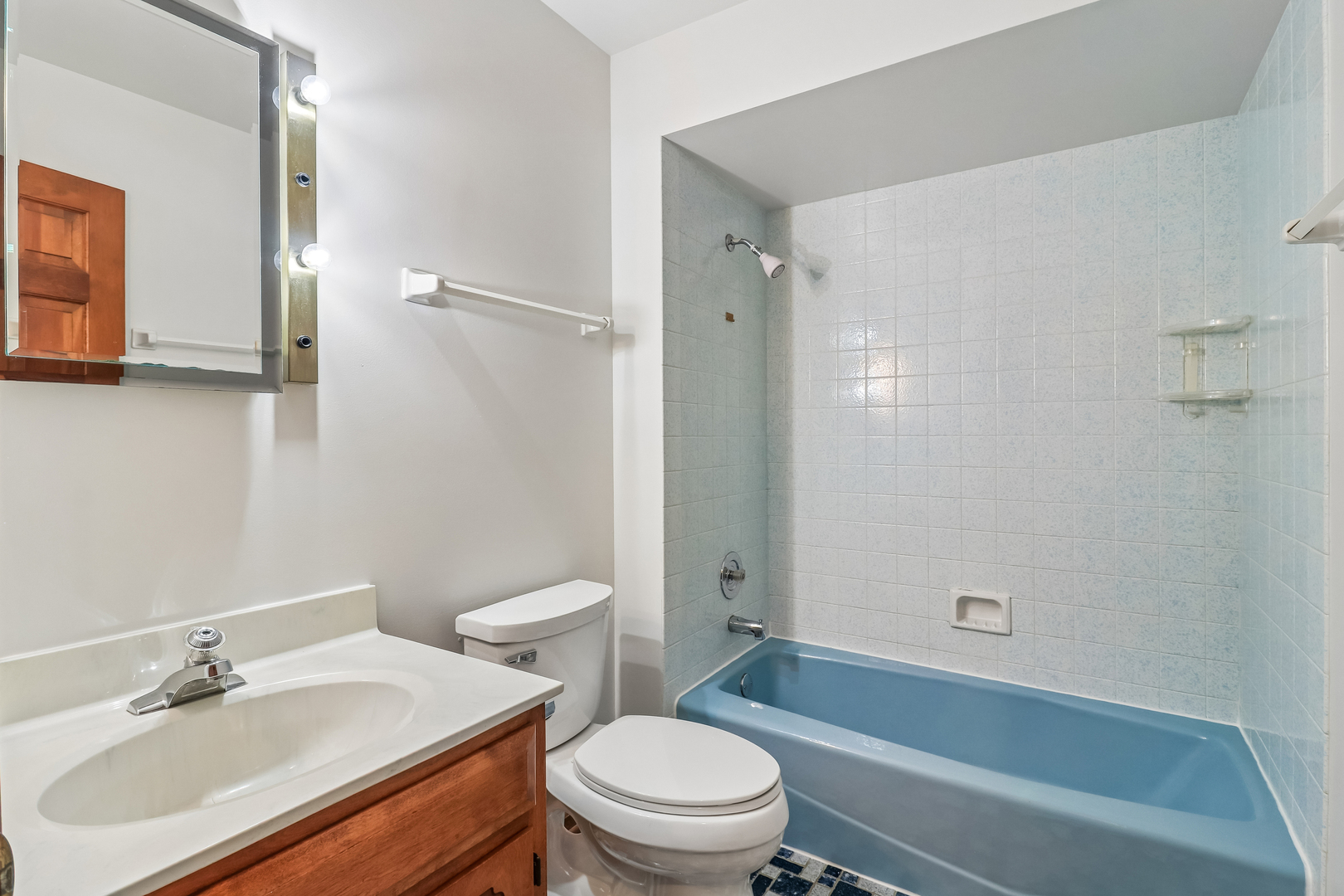 733 Buttonwood Circle SE Naperville IL 60540