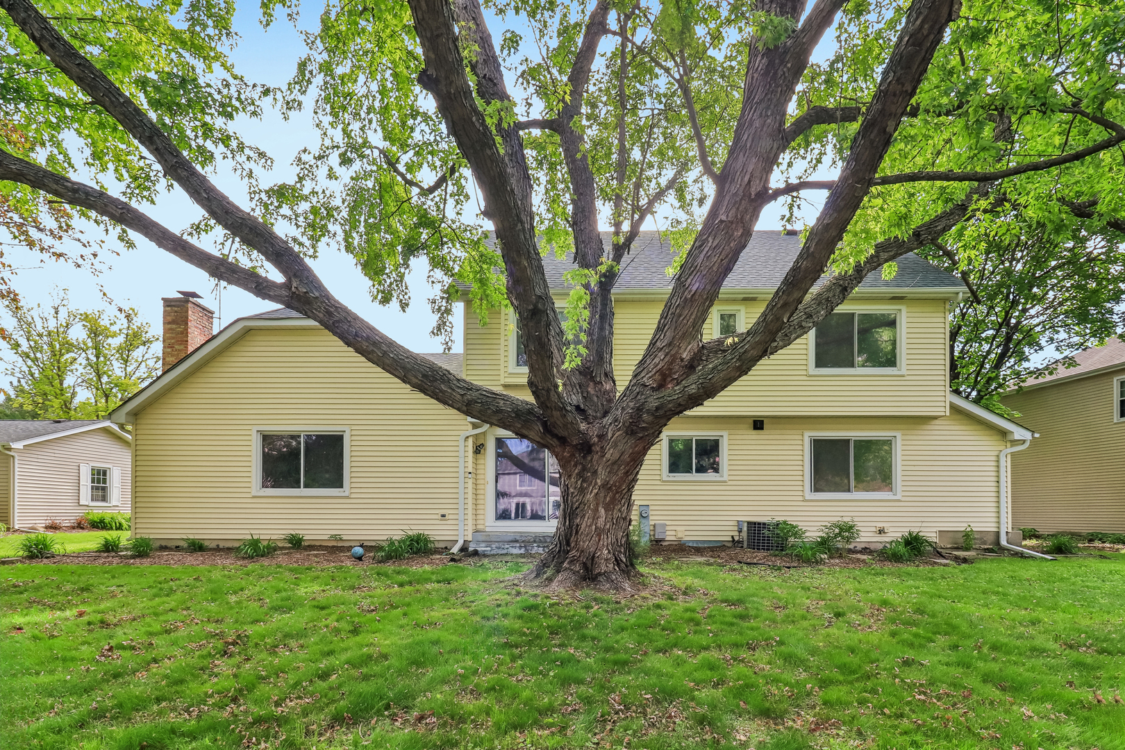733 Buttonwood Circle SE Naperville IL 60540