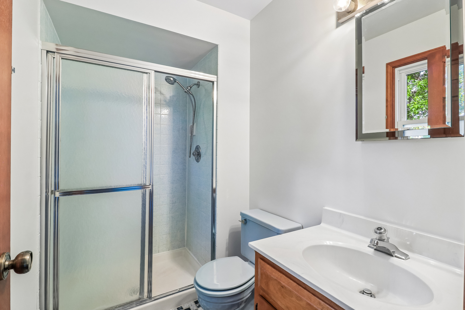 733 Buttonwood Circle SE Naperville IL 60540