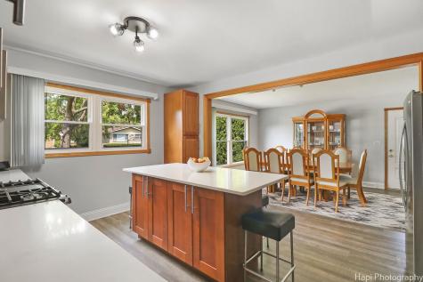 1569 Sherman Place Des Plaines IL 60016