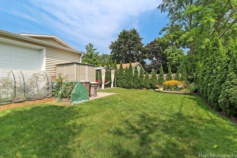 1569 Sherman Place Des Plaines IL 60016