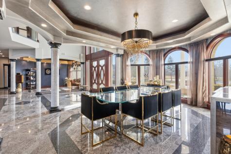 15 Terra Vita Court South Barrington IL 60010