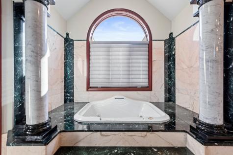 15 Terra Vita Court South Barrington IL 60010