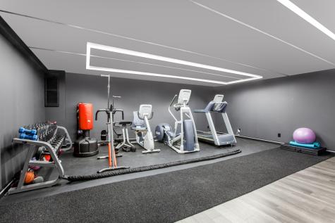 15 Terra Vita Court South Barrington IL 60010