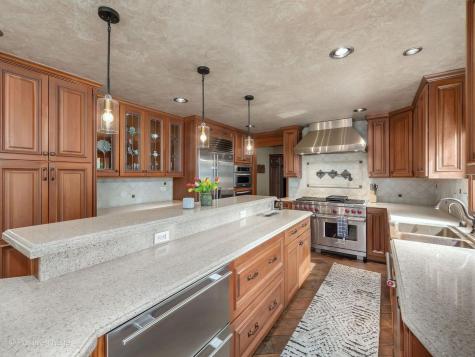 6451 Garfield Ridge Court Burr Ridge IL 60527