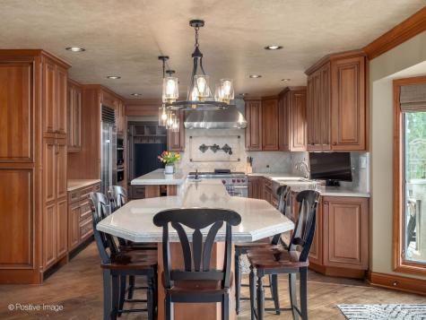 6451 Garfield Ridge Court Burr Ridge IL 60527