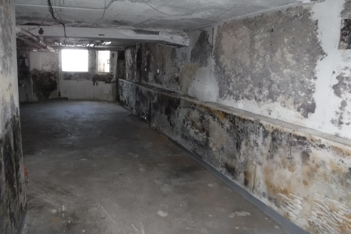 6625 South Woodlawn Avenue Chicago IL 60637