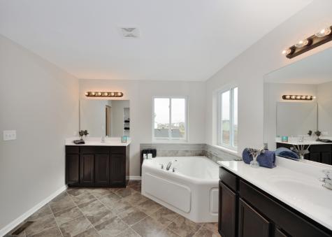27531 West Red Wing Lane Channahon IL 60410