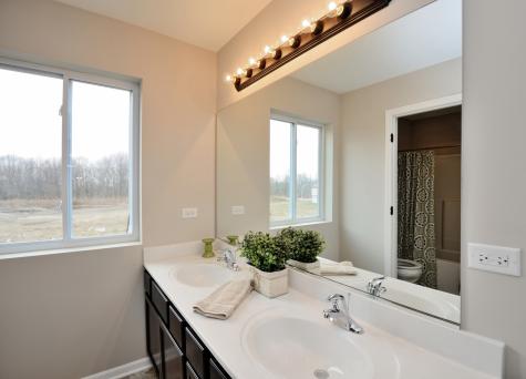 27531 West Red Wing Lane Channahon IL 60410