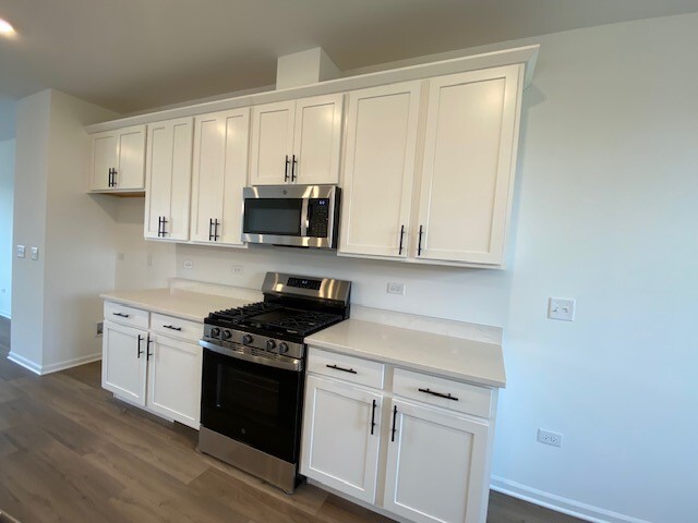 4515 Chelsea Manor Circle Aurora IL 60504