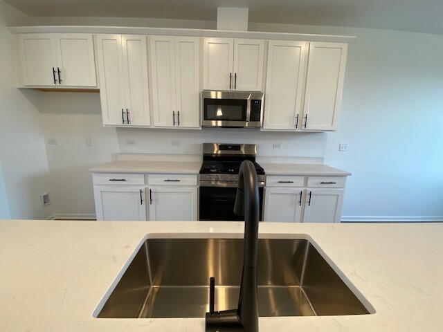 4515 Chelsea Manor Circle Aurora IL 60504