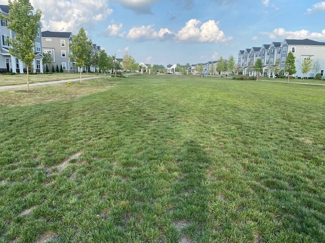 4515 Chelsea Manor Circle Aurora IL 60504