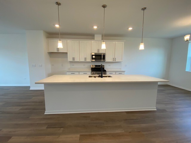 4515 Chelsea Manor Circle Aurora IL 60504