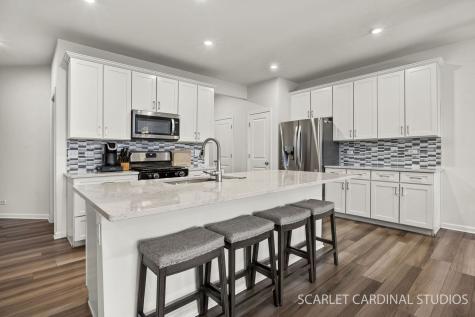 487 Watercress Drive Aurora IL 60504