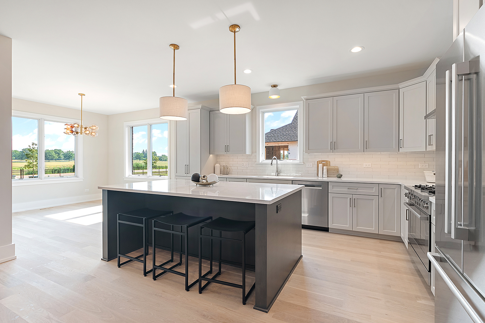 11049 Lizmore Lane Orland Park IL 60467