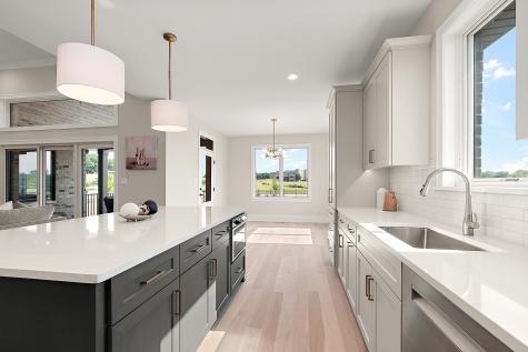 11049 Lizmore Lane Orland Park IL 60467