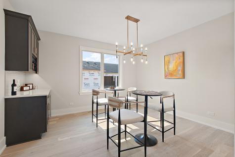 11049 Lizmore Lane Orland Park IL 60467