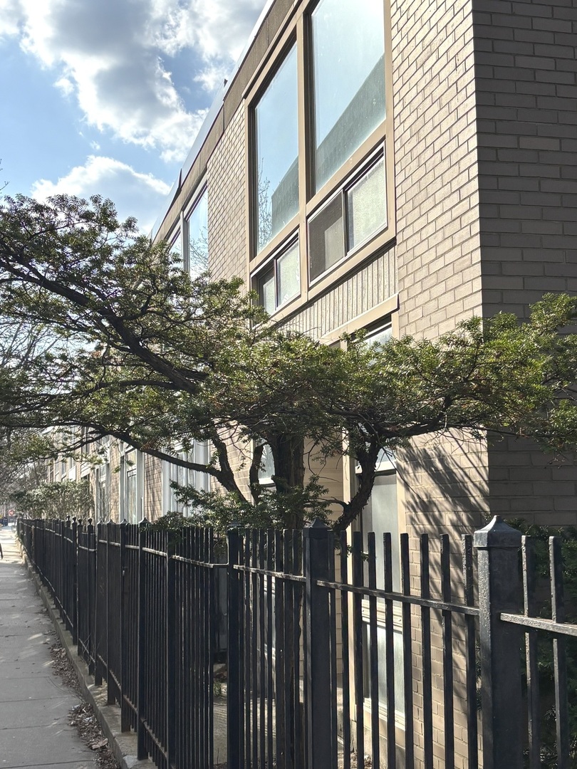 1428 East 55th Street Chicago IL 60615
