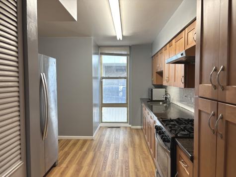 1428 East 55th Street Chicago IL 60615