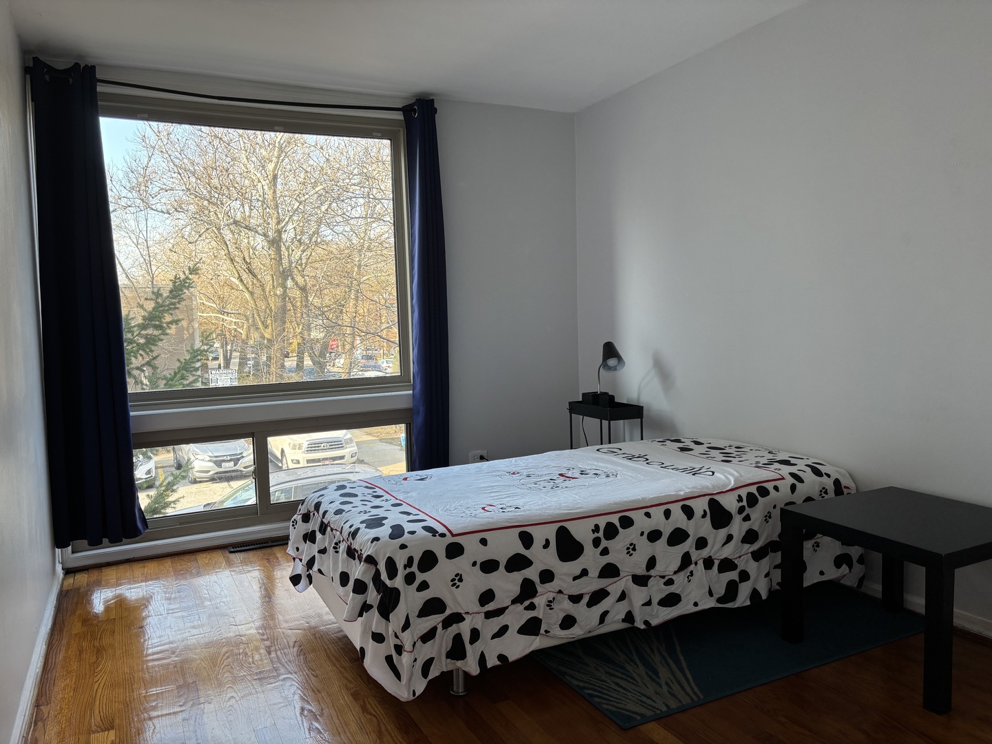 1428 East 55th Street Chicago IL 60615