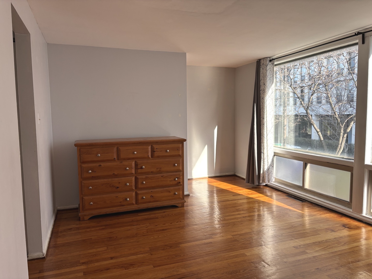 1428 East 55th Street Chicago IL 60615