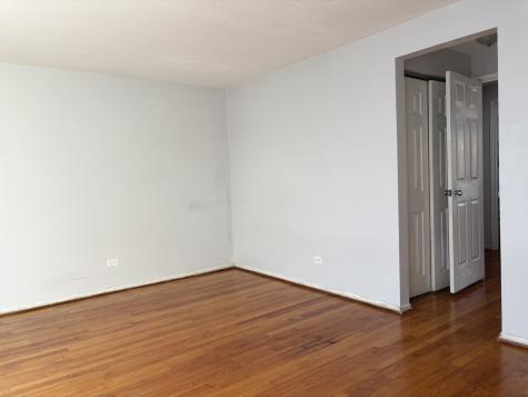 1428 East 55th Street Chicago IL 60615