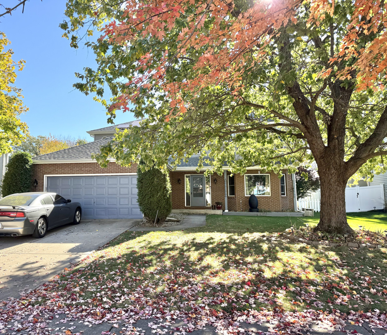 1433 Columbus Drive Bolingbrook IL 60490