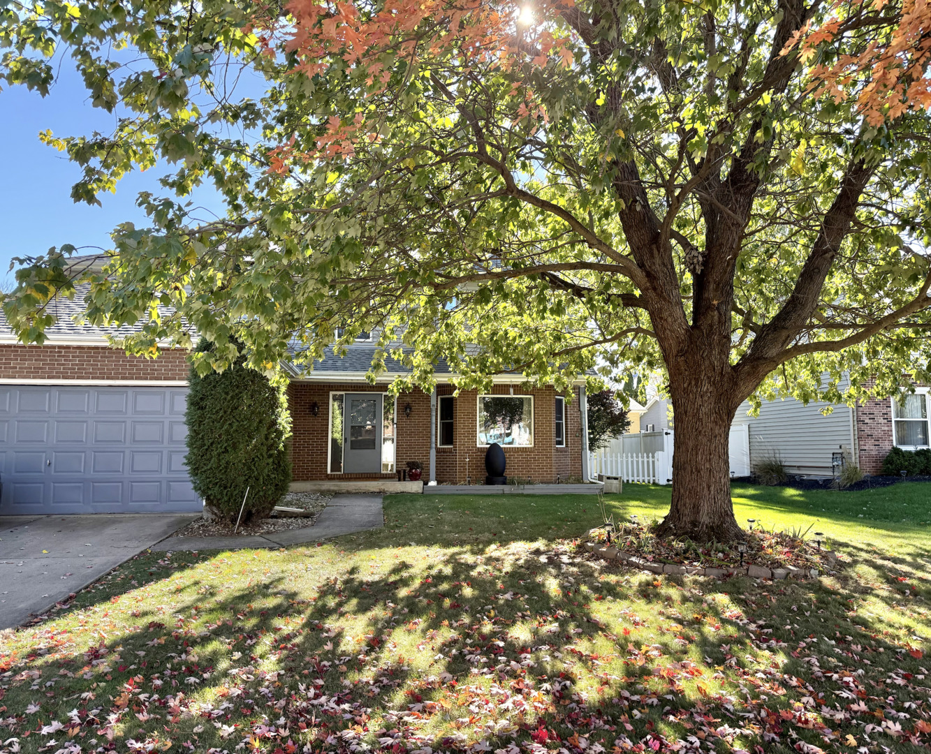 1433 Columbus Drive Bolingbrook IL 60490