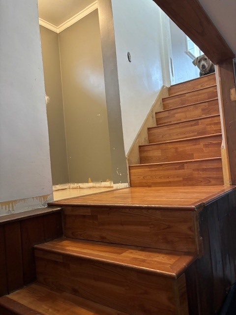 209 South Pick Avenue S Elmhurst IL 60126