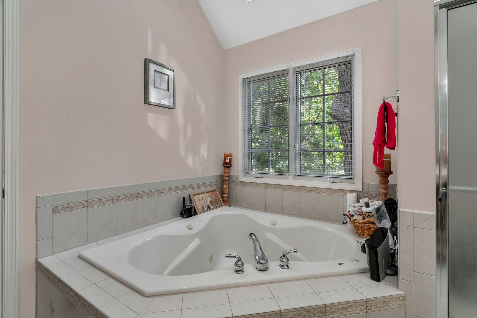 745 Feather Sound Drive Bolingbrook IL 60440