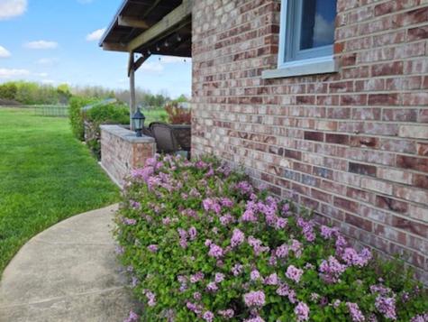 31025 North 2400 East Road Dwight IL 60420