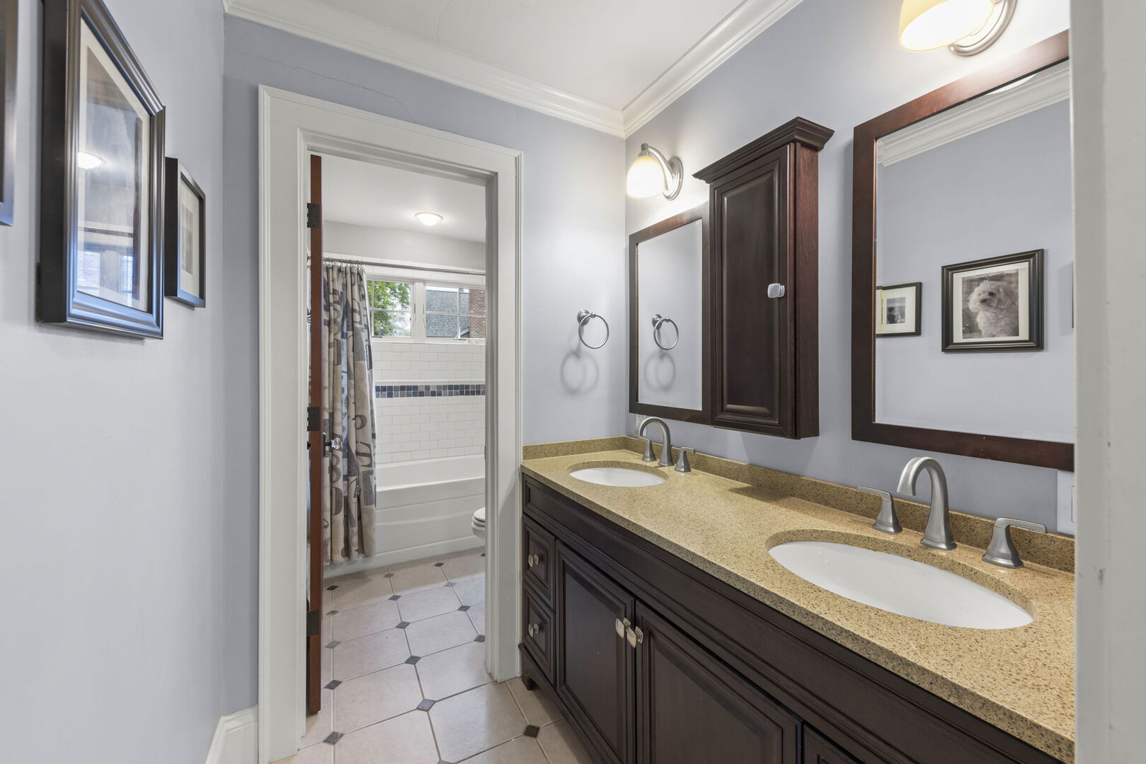 388 Hill Avenue Glen Ellyn IL 60137