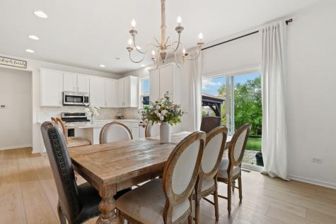 1009 Trillium Lane Shorewood IL 60404