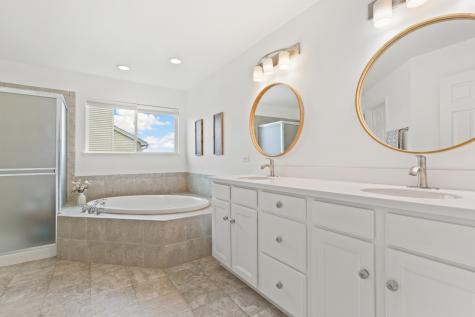 1009 Trillium Lane Shorewood IL 60404