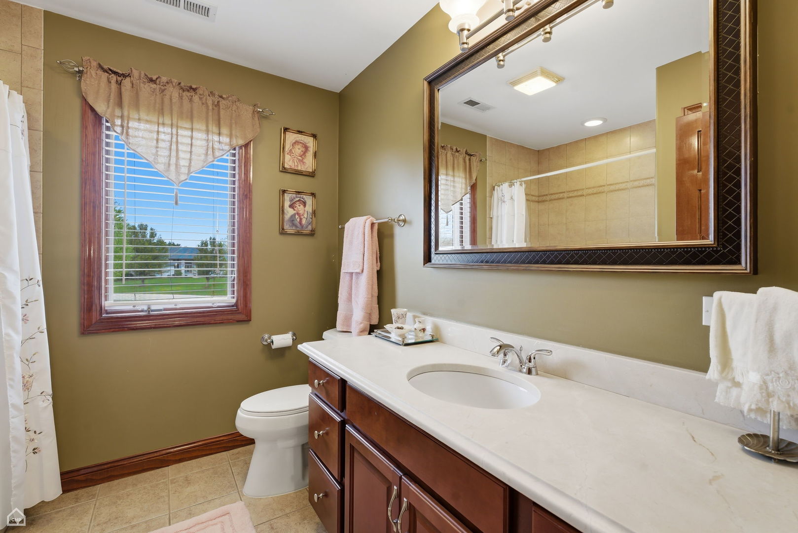 18034 South Crystal Lake Drive Mokena IL 60448