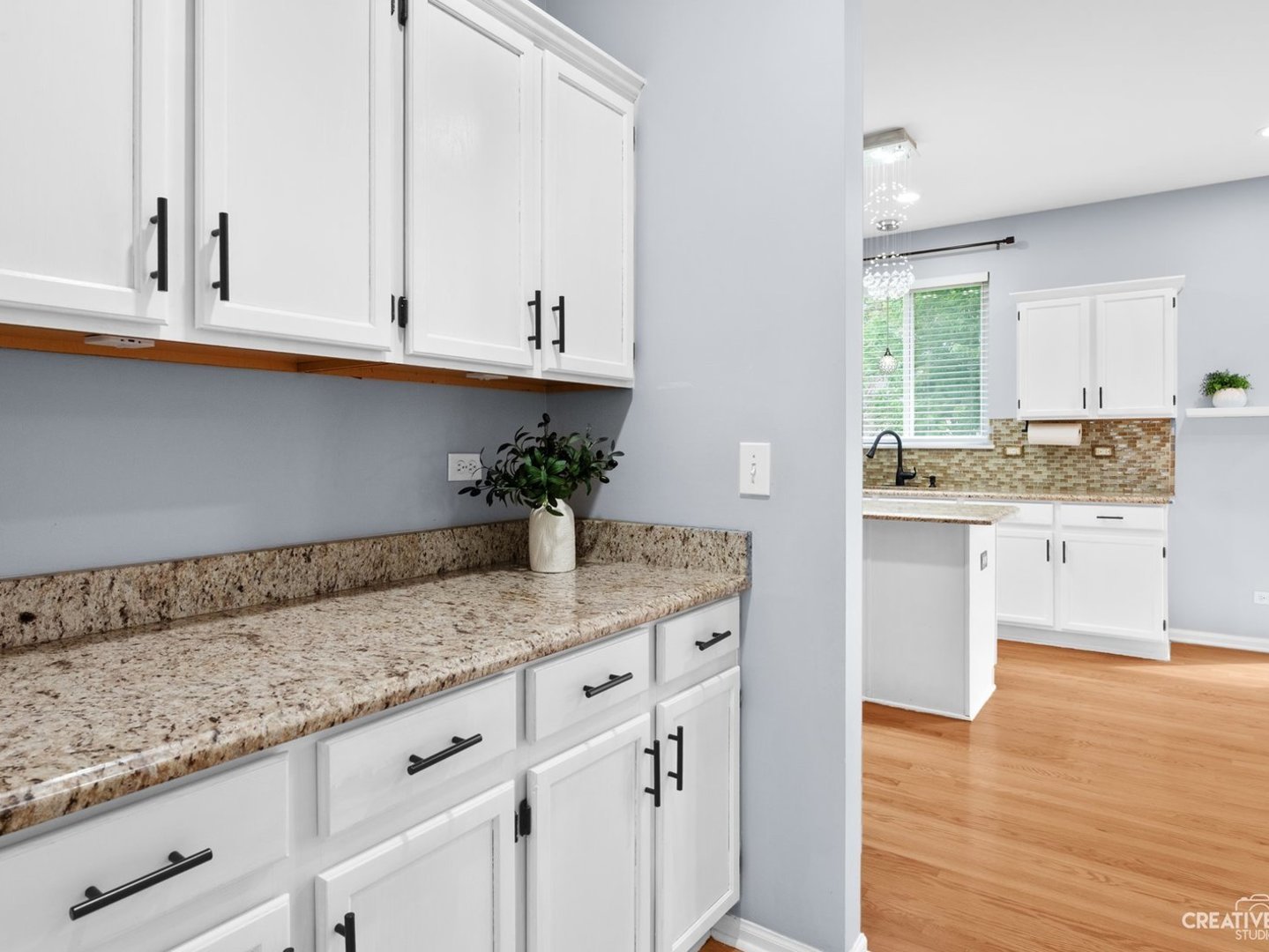 1208 Amaranth Drive Naperville IL 60564
