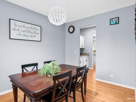 1208 Amaranth Drive Naperville IL 60564