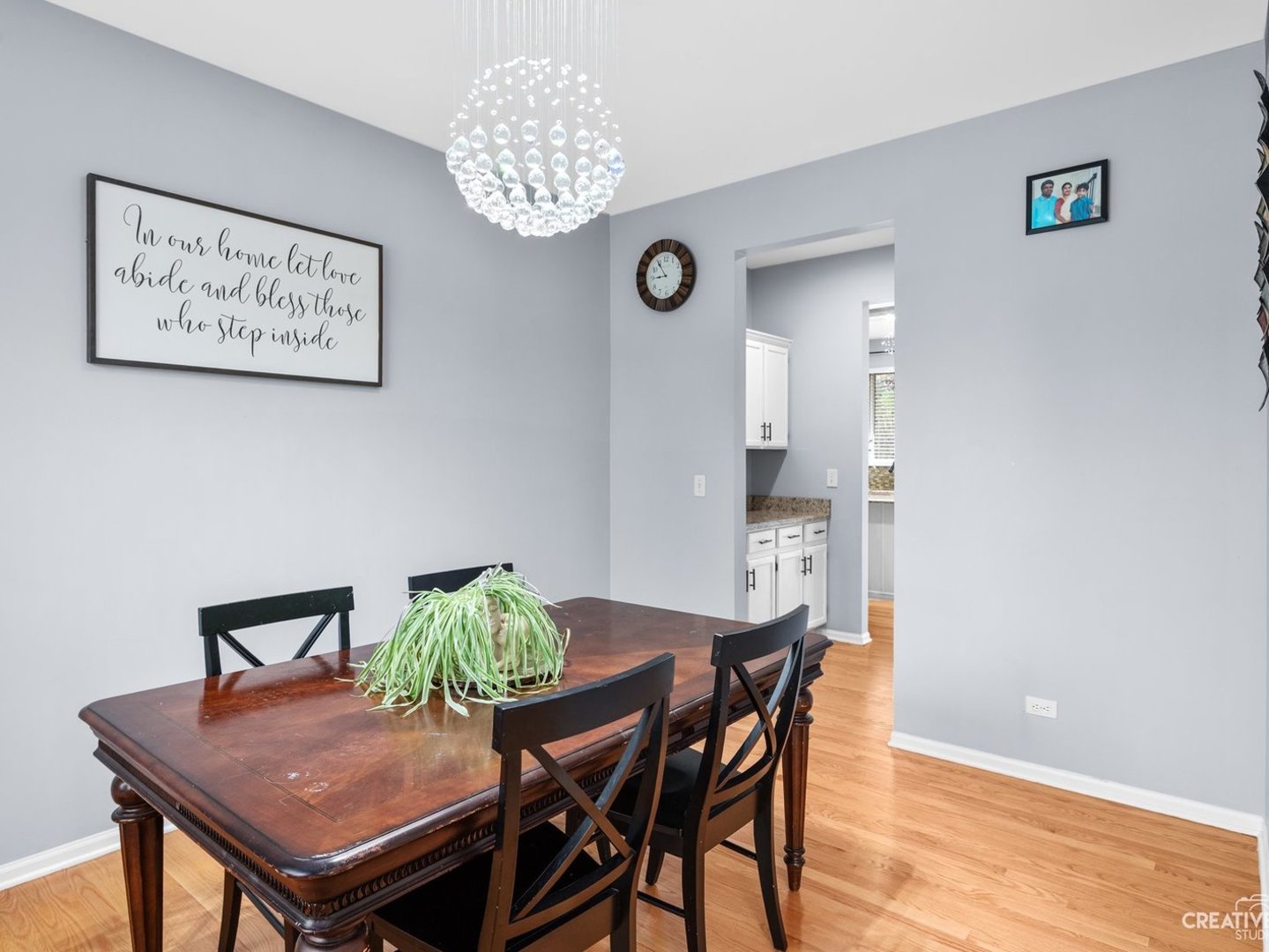 1208 Amaranth Drive Naperville IL 60564